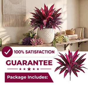 Artificial Boston Fern & Dragon's Blood Tree Plants