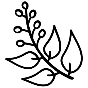 019eca45-1c64-71d3-a308-2247aecae458-ICON_3.png