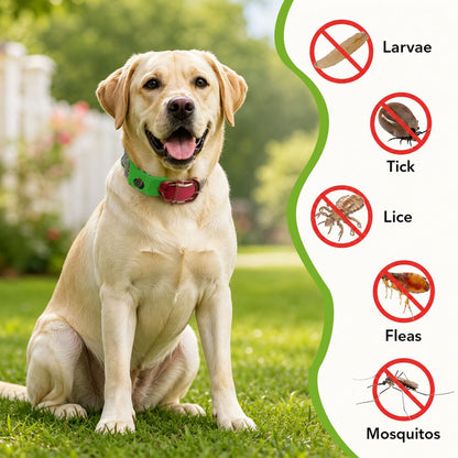 Tiktrove™ 12 Months Flea and Tick Free