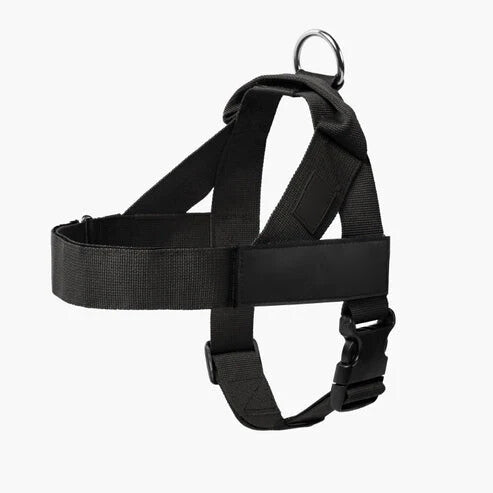 DOG HARNESS