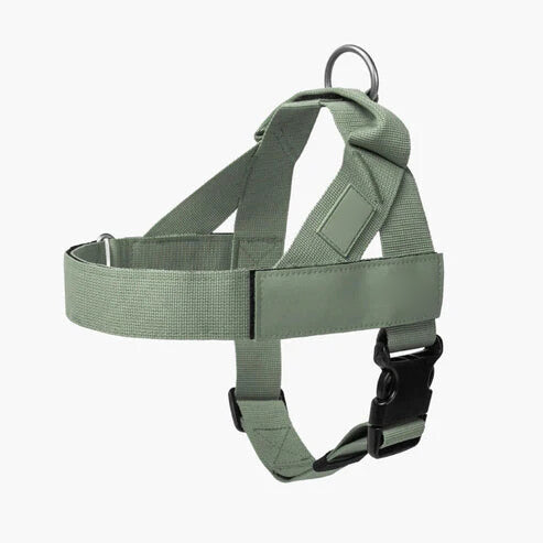 DOG HARNESS