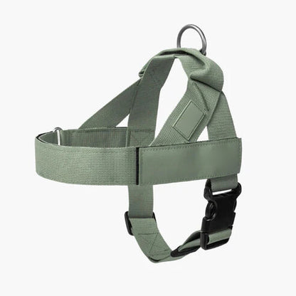 DOG HARNESS