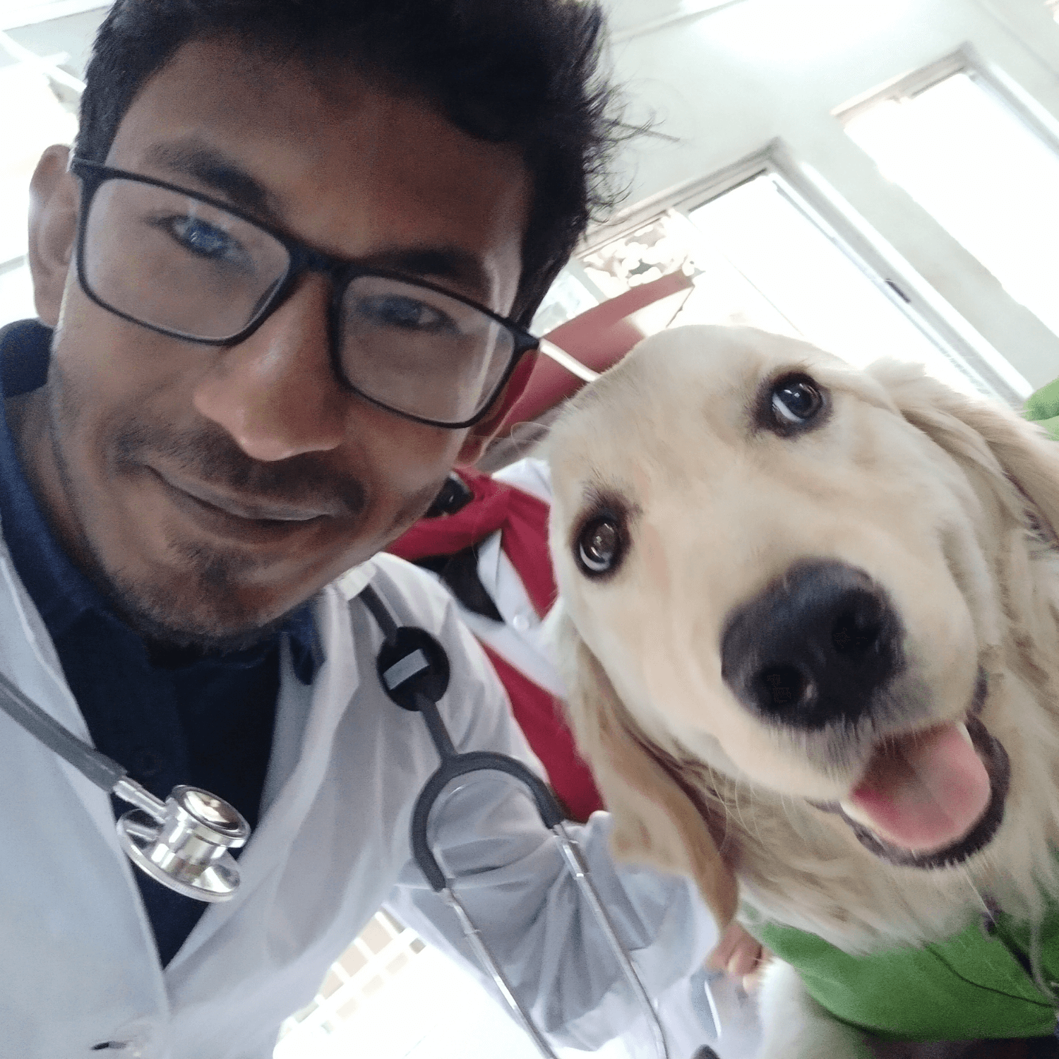 files/furlife_doc_1_852a9247-53d4-428e-9f91-98459fc57696.png