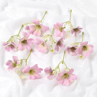 Rose Pink